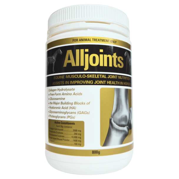 Alljoints